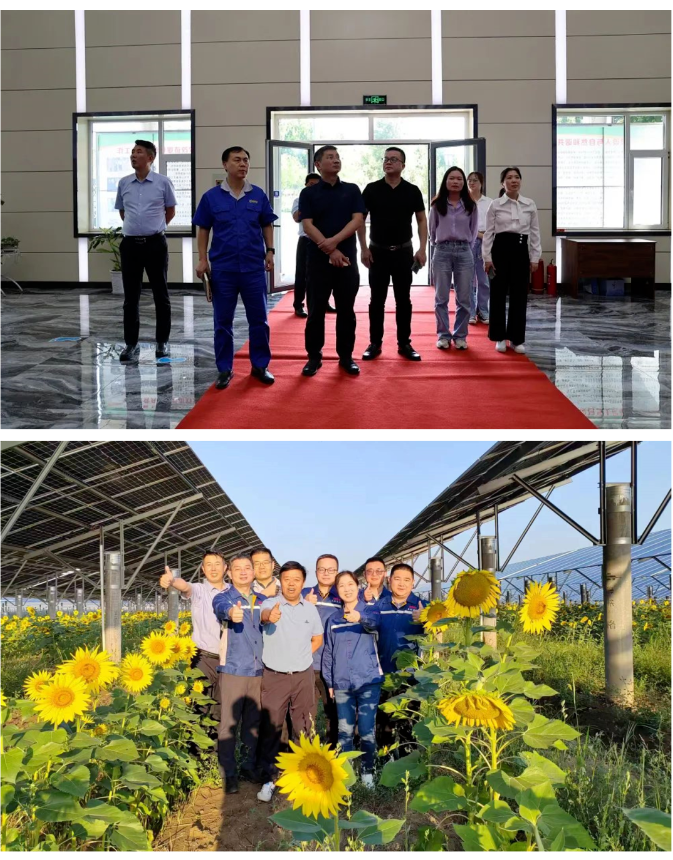 2025新澳门原料免费1688
