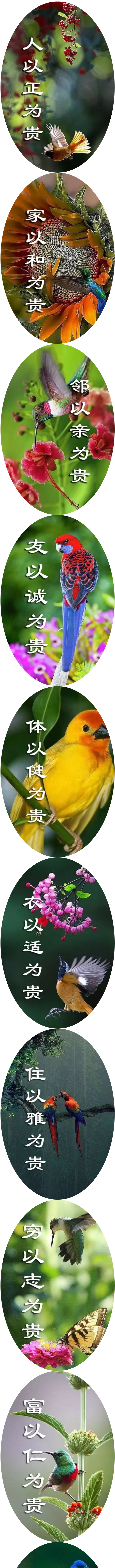 2025新澳门原料免费1688