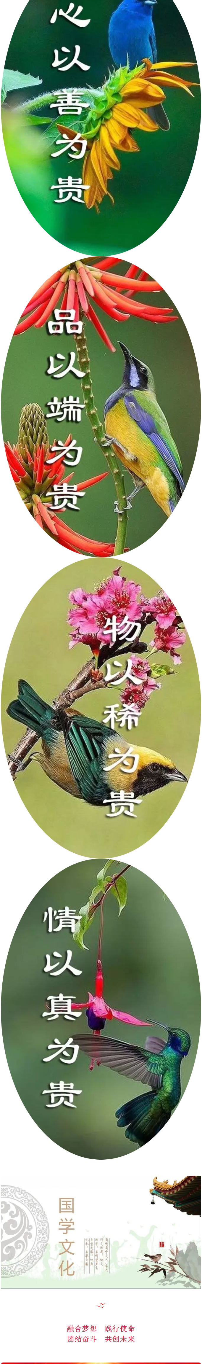 2025新澳门原料免费1688