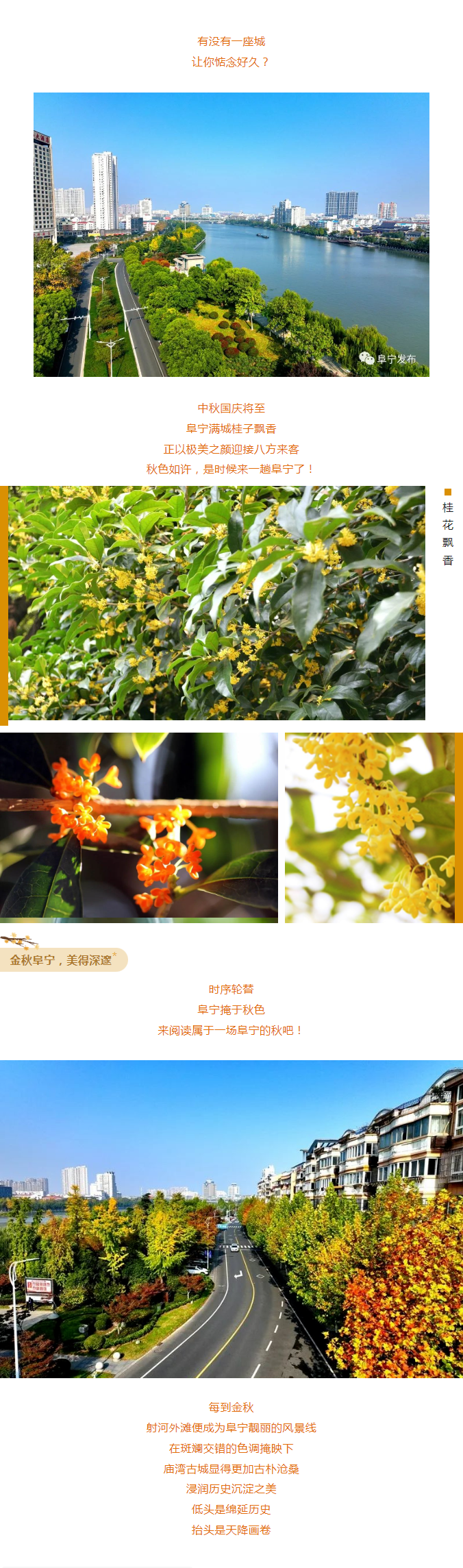 2025新澳门原料免费1688